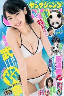 适合大人看的动画电影