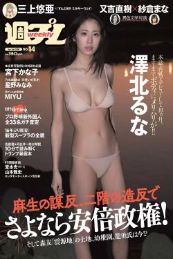荷尔蒙第三季