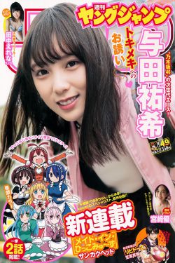 电视剧武工队传奇免费全集观看