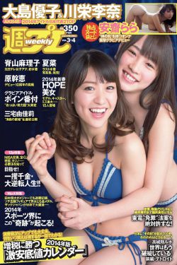 火蓝刀锋电视剧全集