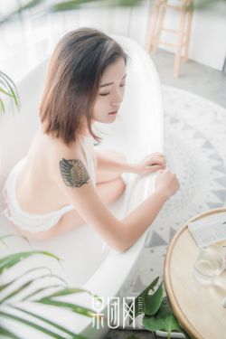 向风而行电视剧免费观看